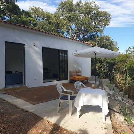 Quinta De Sao Pedro Villa Sobreda Dış mekan fotoğraf