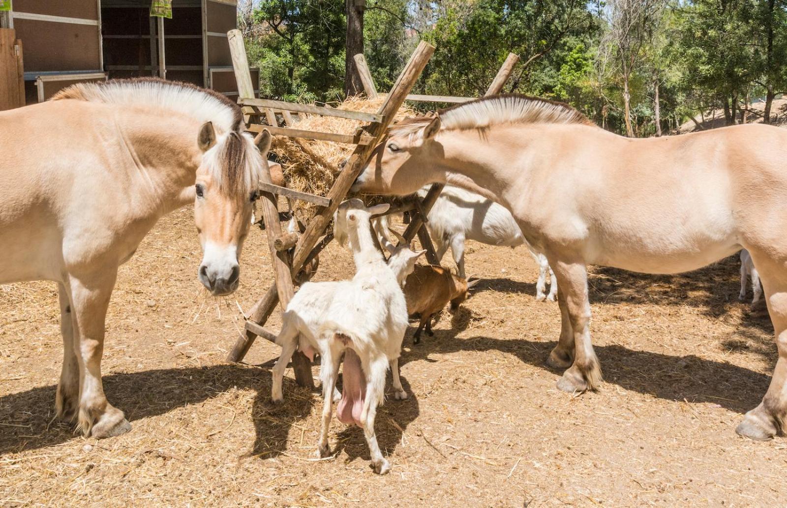 Quinta De Sao Pedro Villa Sobreda Dış mekan fotoğraf
