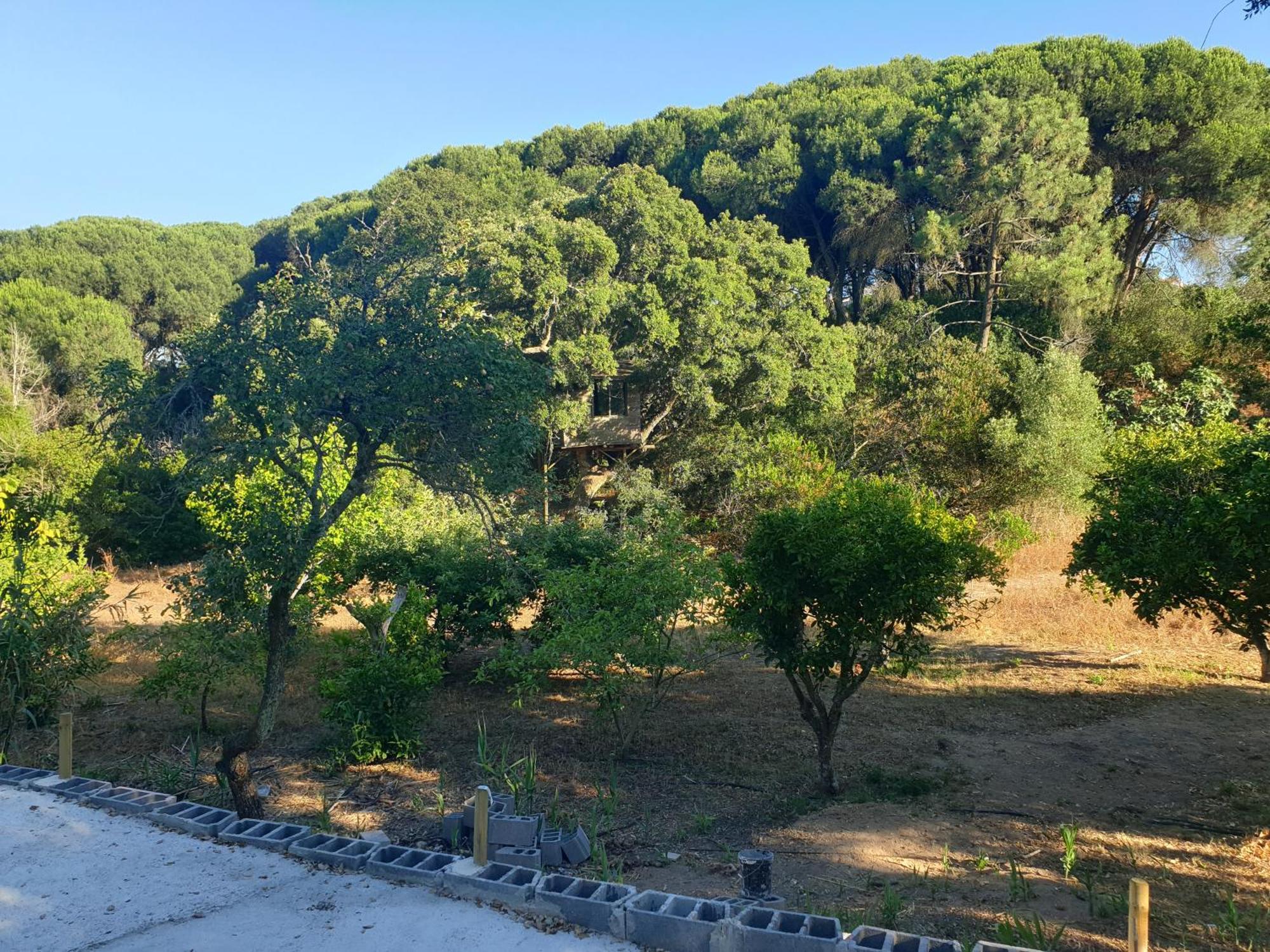 Quinta De Sao Pedro Villa Sobreda Dış mekan fotoğraf